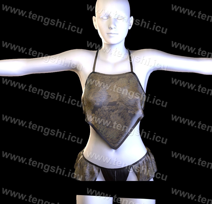 GSLKNIGHT.1730462260.1-林夕资源VAM